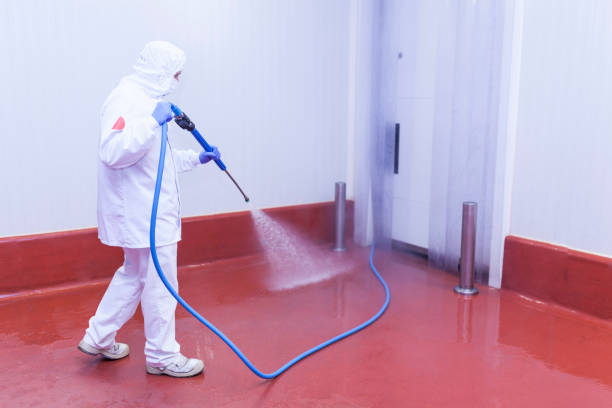 Boat and Dock Cleaning in Jasmine Estates, FL